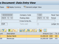 Accounting Document