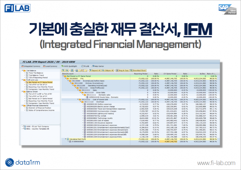 기본에 충실한 통합 재무 결산서, IFM