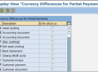 부분 반제(Paritial Payment) 시 환차손익 인식