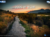 2025년 회고록