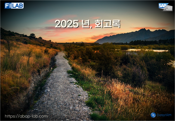 2025년 회고록