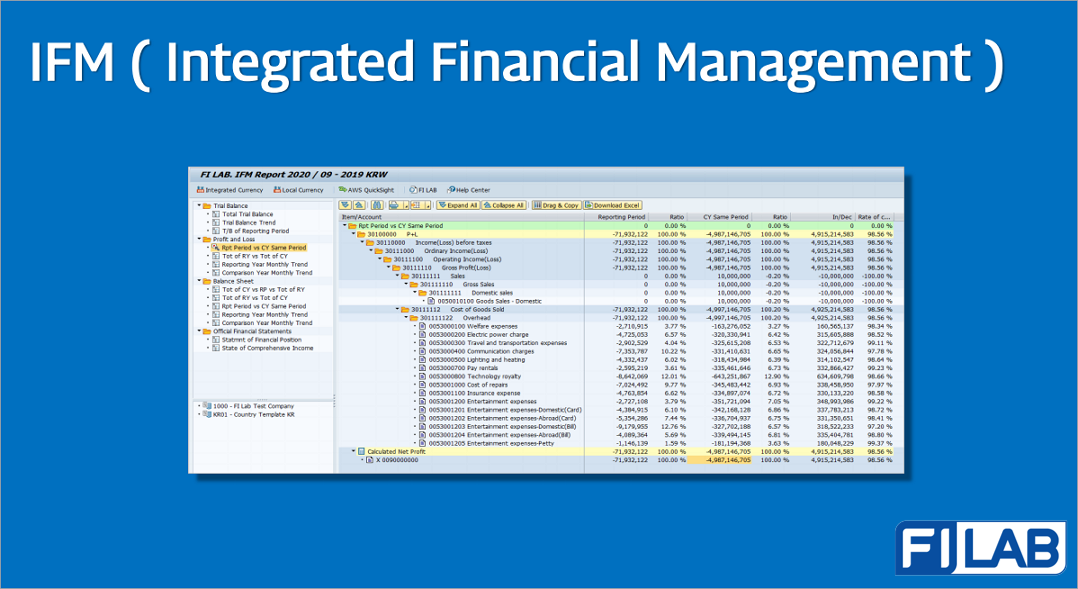통합 재무회계 결산서, IFM