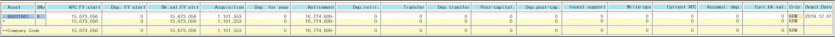 Asset Transaction type별 AR02의 Column 구분