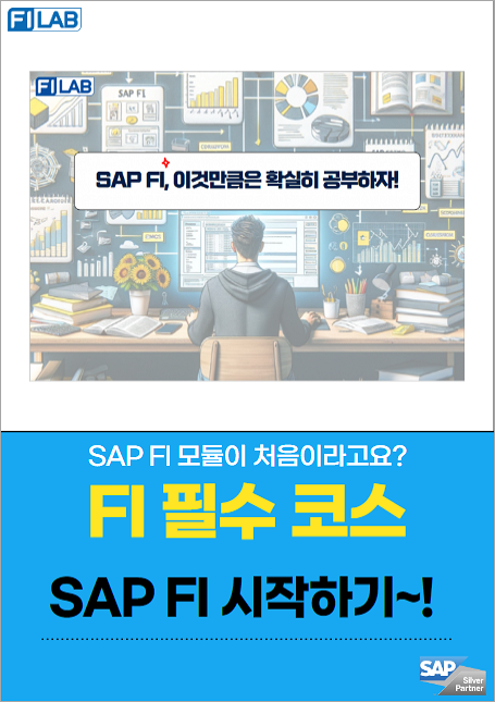 SAP FI 모듈 어떻게 공부하시나요?-(2)