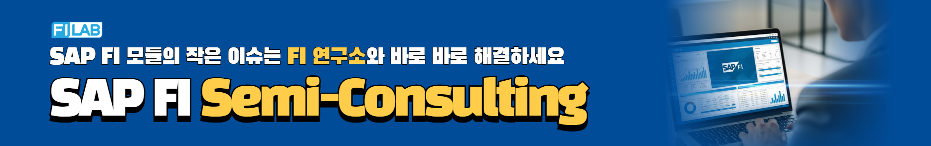 SAP FI Semi-Consulting